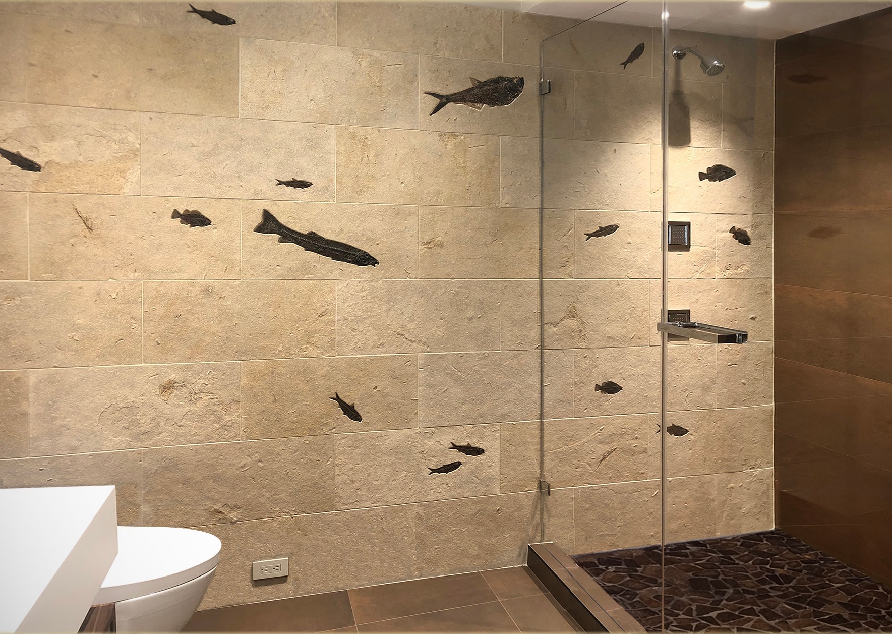 A fossil tile wall containing large and small fossil fish is used as a feature wall in a modern bathroom