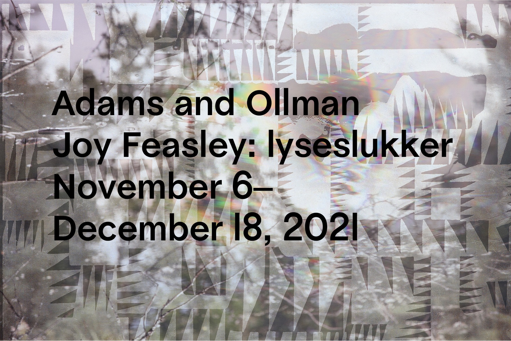 Joy Feasley: lyseslukker - November 6–December 18, 2021 - Viewing Room - Adams and Ollman Viewing Room