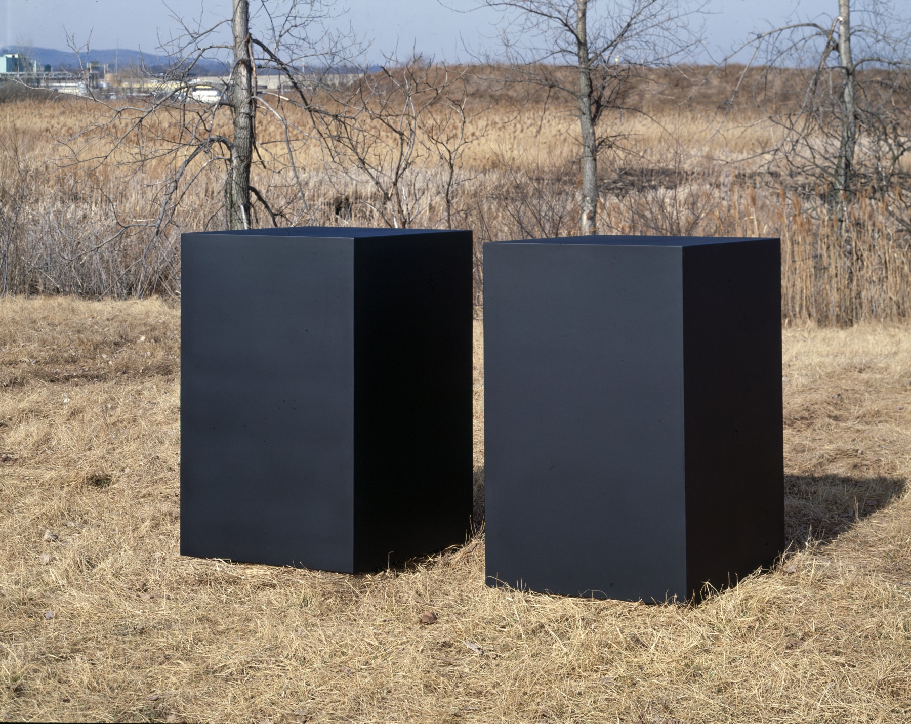 Welded bronze, black patina
2 units, each 5 ft. x 5 ft. 6 in. x 33 in.&amp;nbsp;(152.4 &amp;times; 167.6 &amp;times; 83.8 cm), edition 2/6
Private collection
Dedication: Webster Anderson