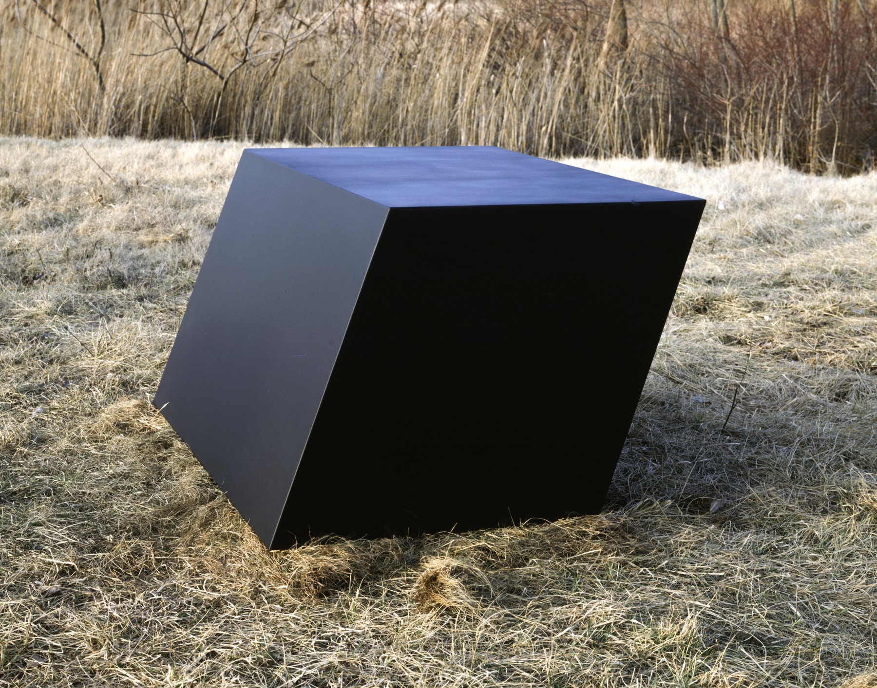 Welded bronze, black patina
33 &amp;times; 60 &amp;times; 46 in. (83.8 &amp;times; 152.4 &amp;times; 116.8 cm), edition 2/6
Cantor Center for the Visual Arts, Stanford University, CA
Dedication: John Wisnosky