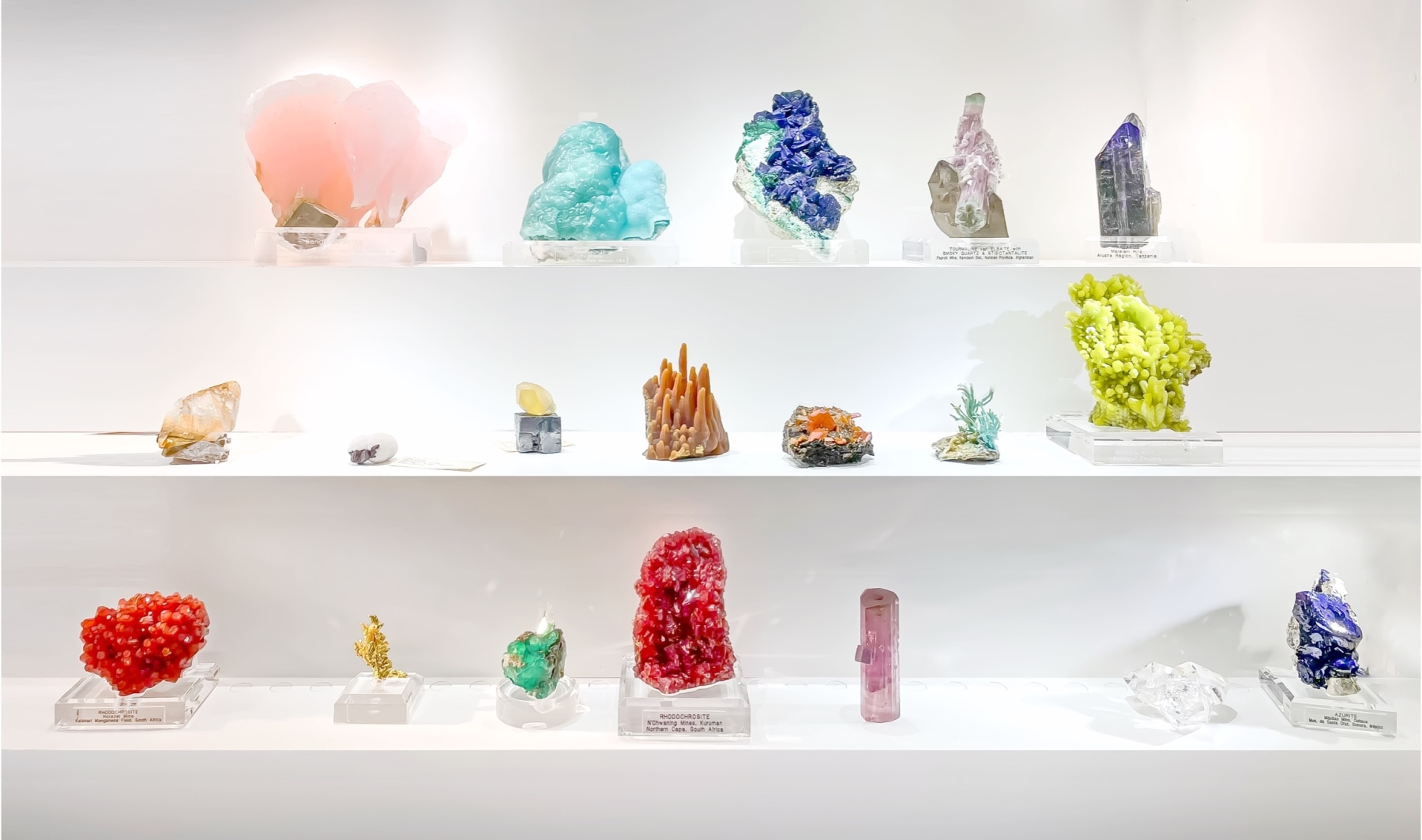 A full-service dealer dedicated to sourcing the world&amp;rsquo;s finest mineral specimens and making them available to discerning connoisseurs and collectors worldwide.