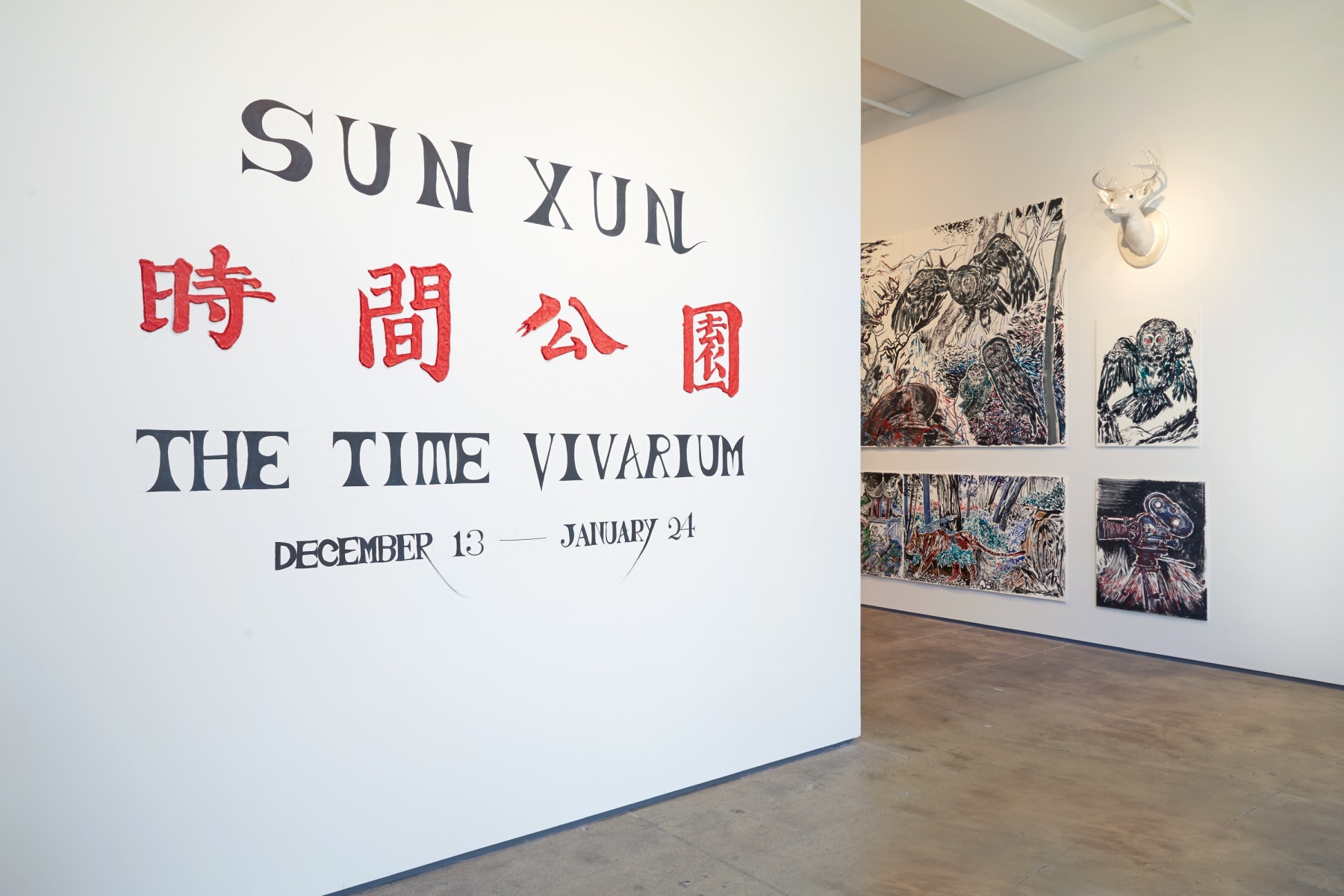 Sun Xun Sean Kelly Gallery