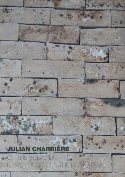 Julian Charriere: On The Sidewalk I Have Forgotten The Dinosauria