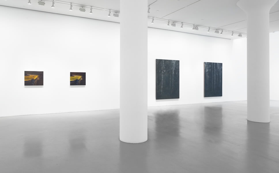 PAUL WINSTANLEY Installation view at Mitchell-Innes &amp;amp; Nash, NY, 2011