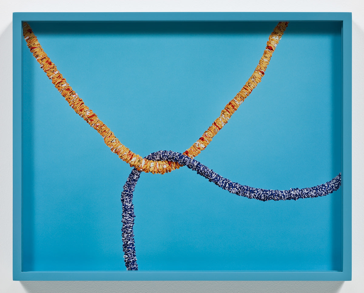 Elad Lassry Ropes, 2009