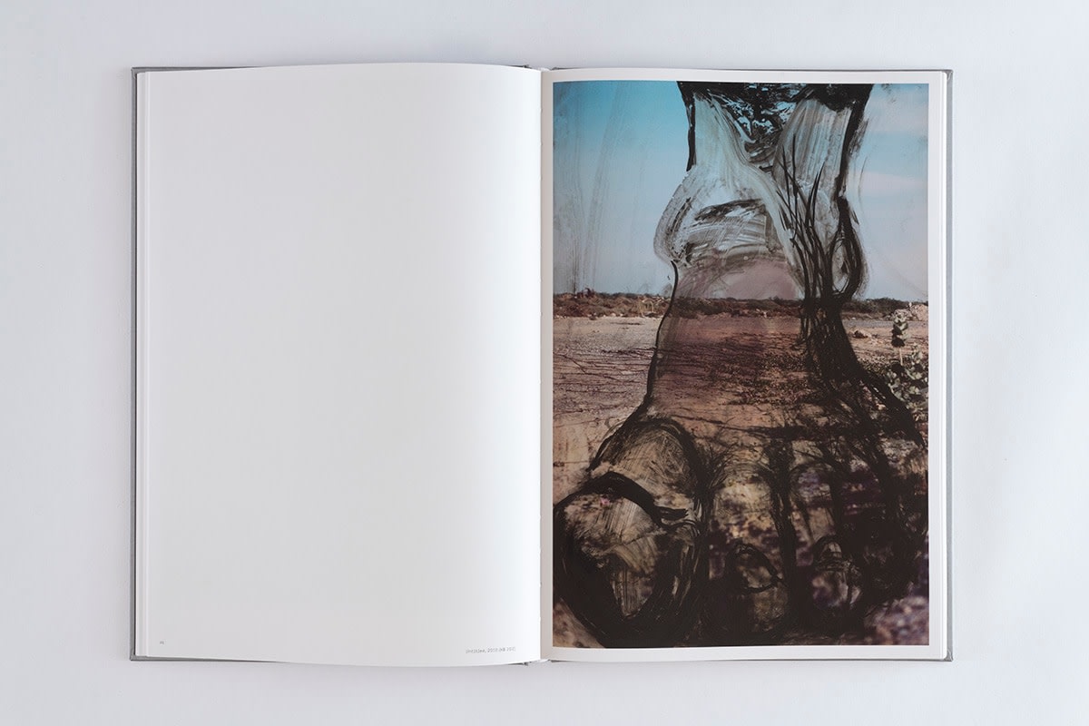 Huma Bhabha