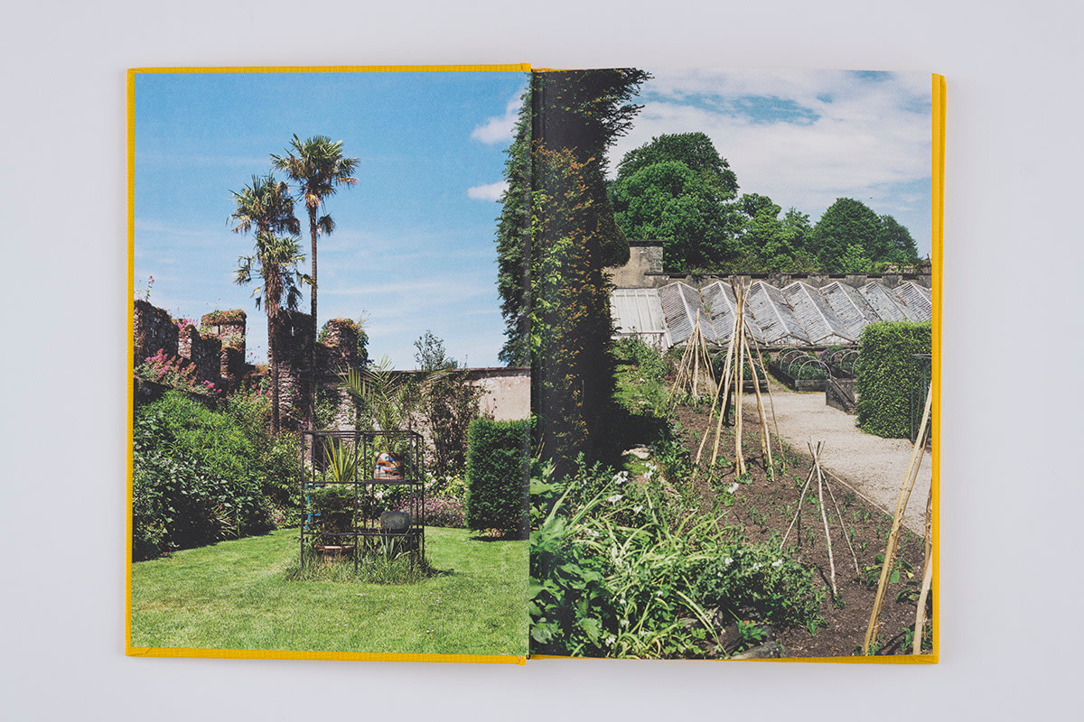 Rashid Johnson