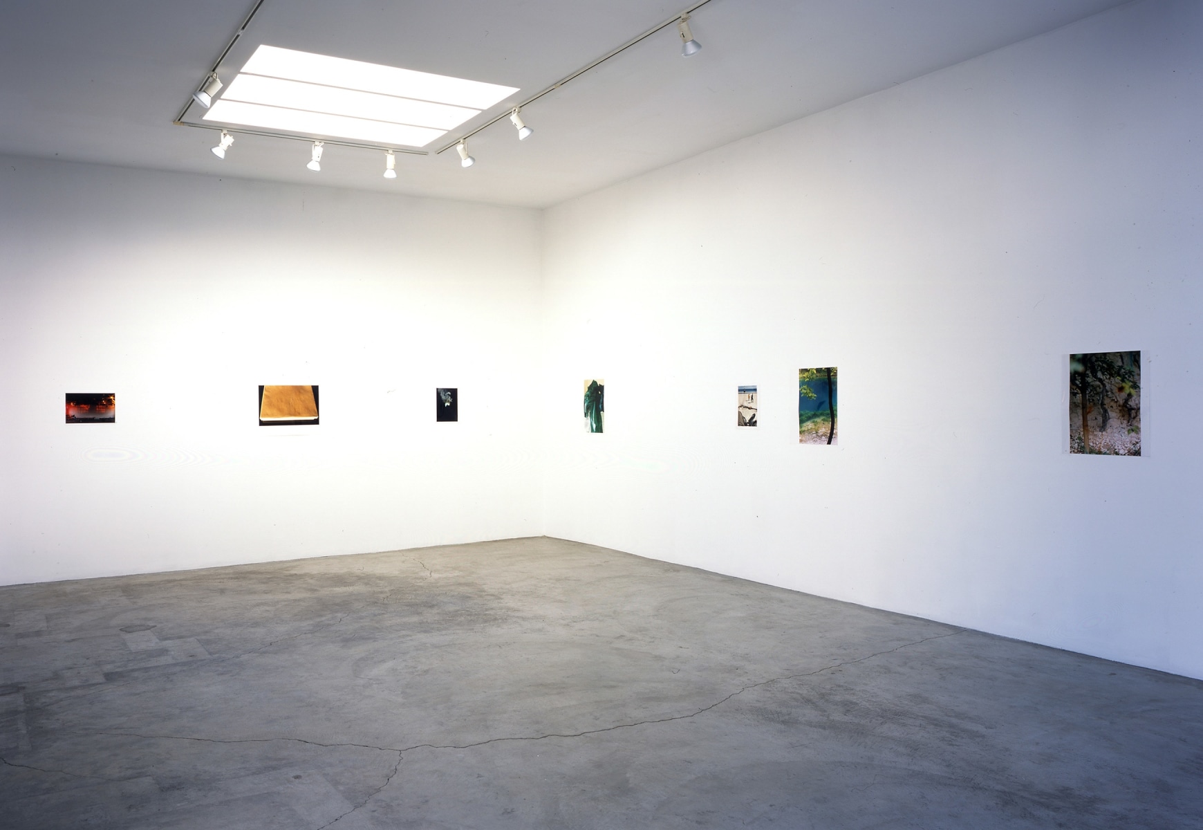 Wolfgang Tillmans - Exhibitions - Regen Projects