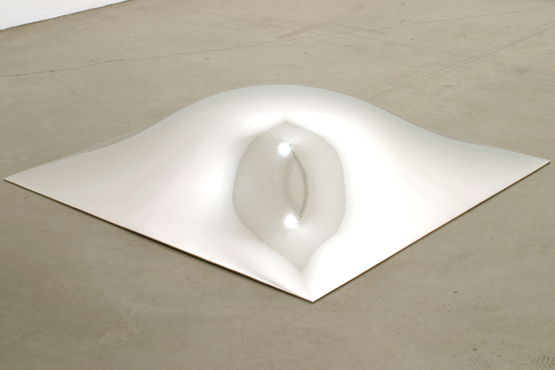 Anish Kapoor
