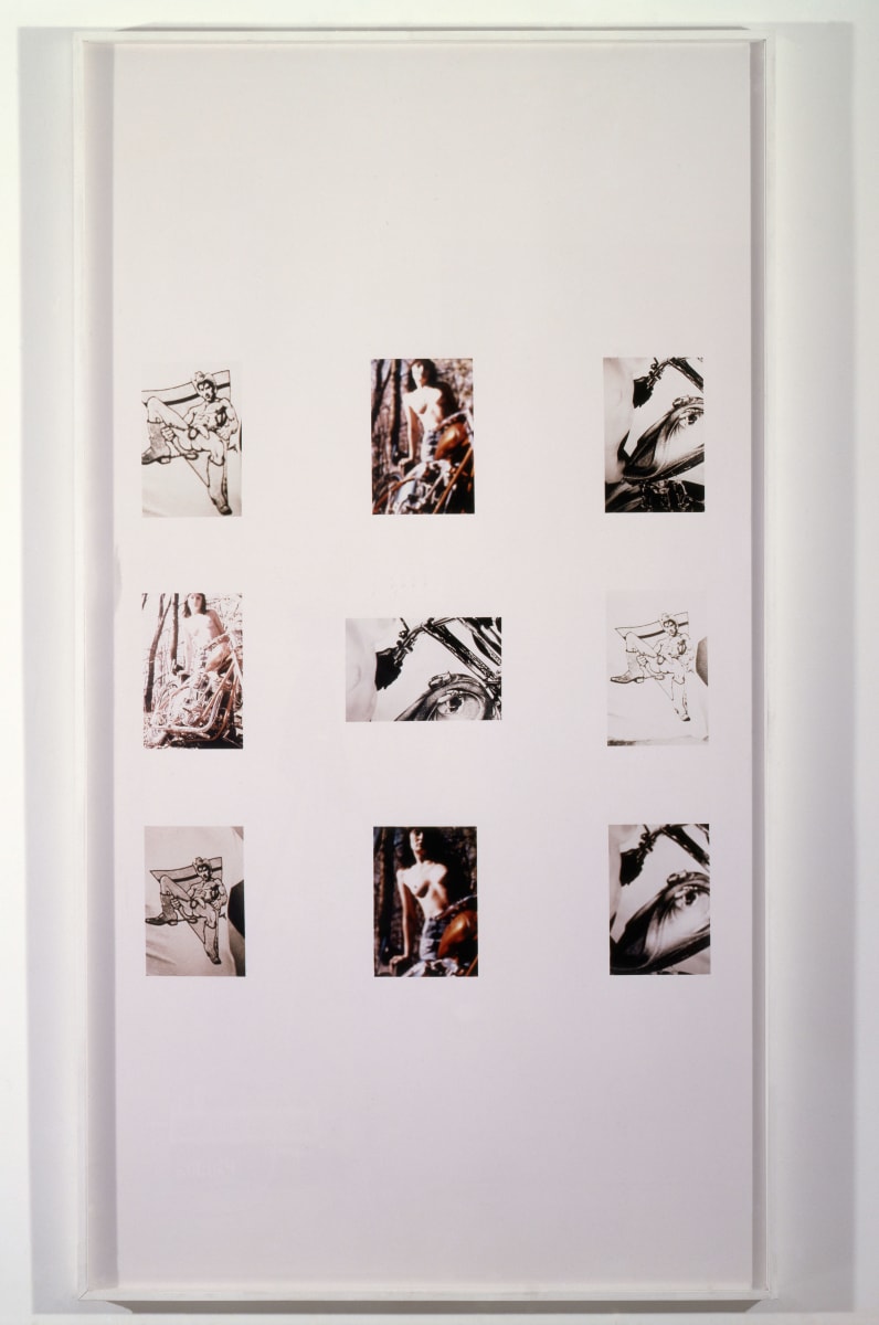 Paintball: Prince, Pruitt/Early,Henry III, Richard Prince