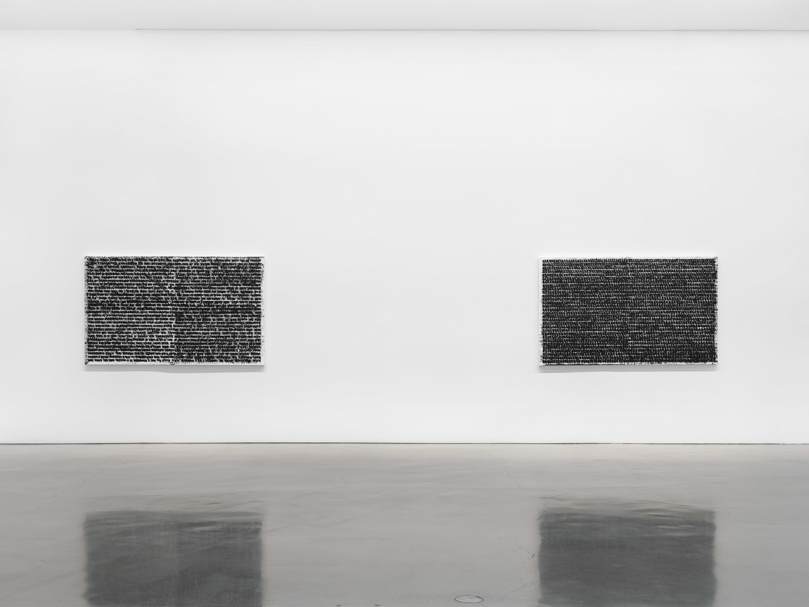 Glenn Ligon - DOUBLE NEGATIVE