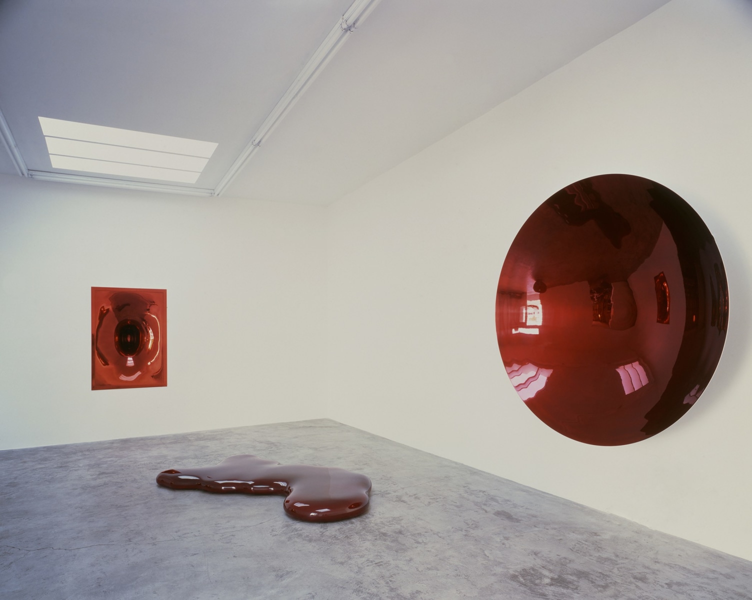 Anish Kapoor