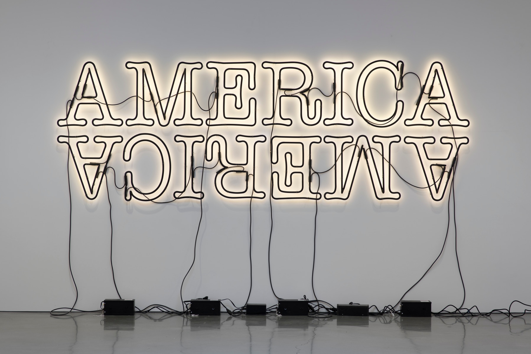 Glenn Ligon - Double America 2