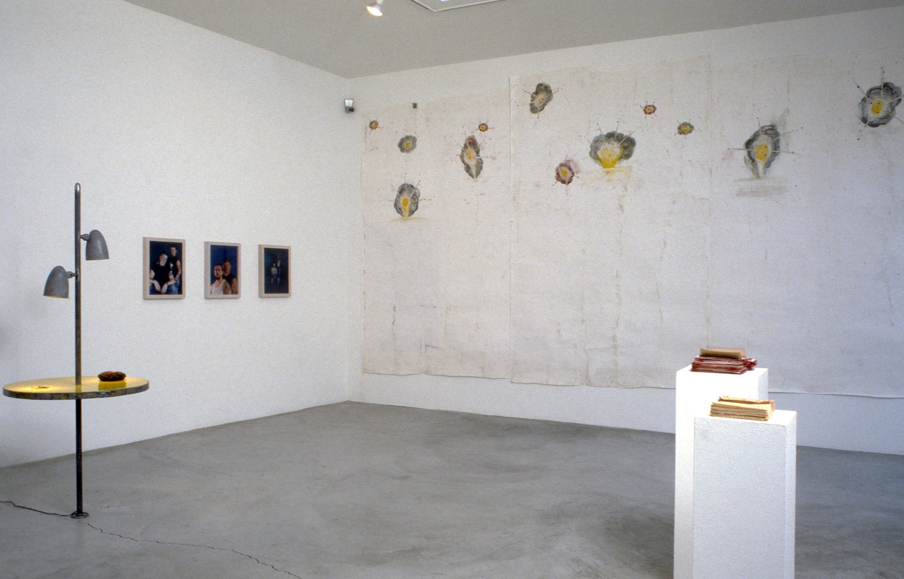 Invitational 93, Toba Khedoori, Catherine Opie, Jennifer Pastor