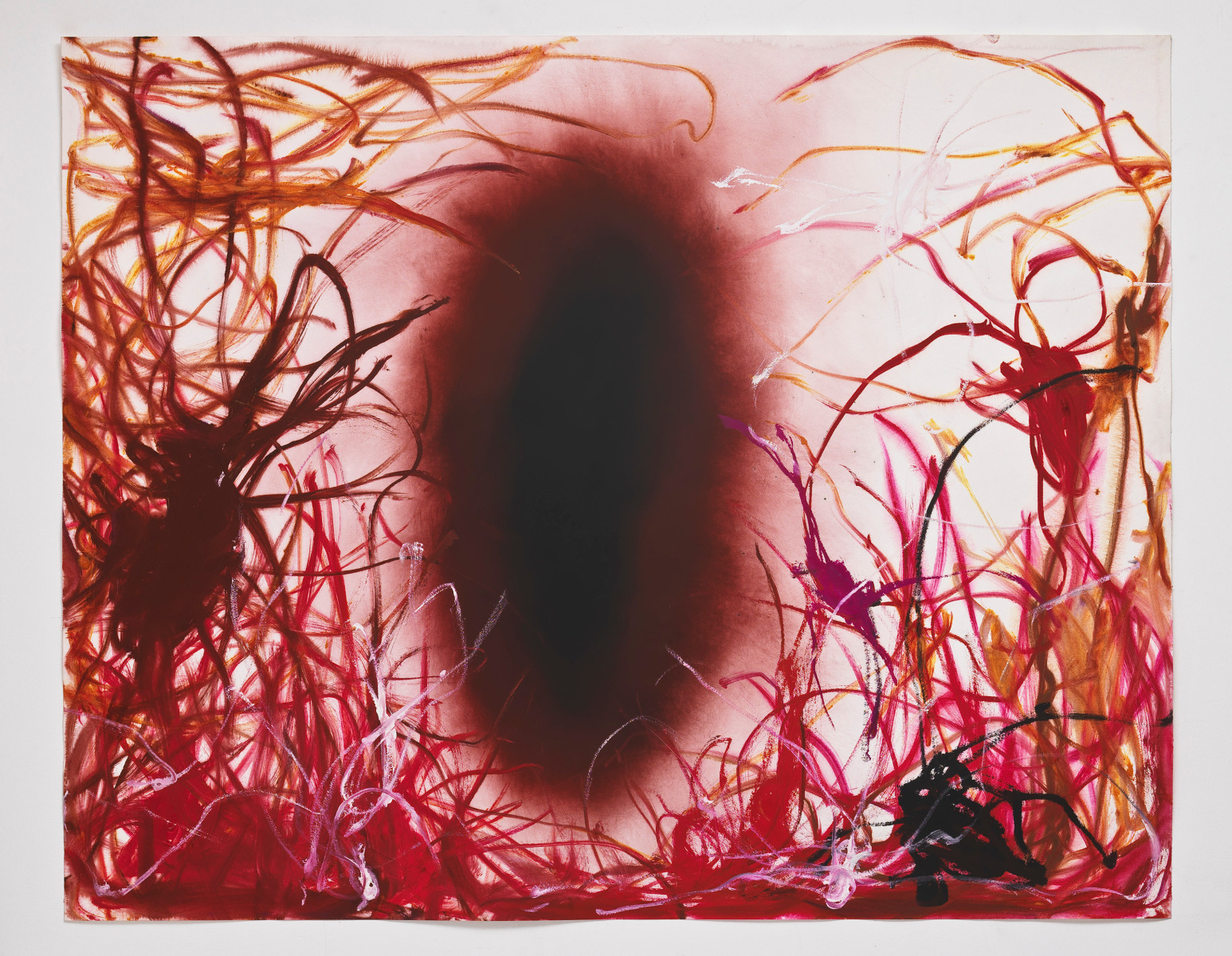 Anish Kapoor