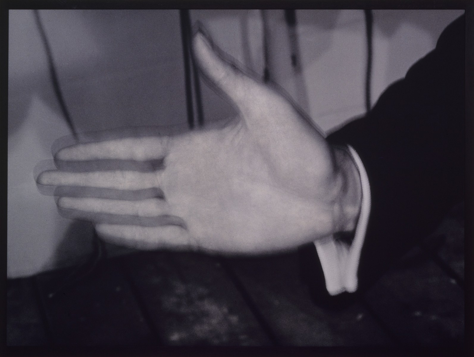 Craigie Horsfield