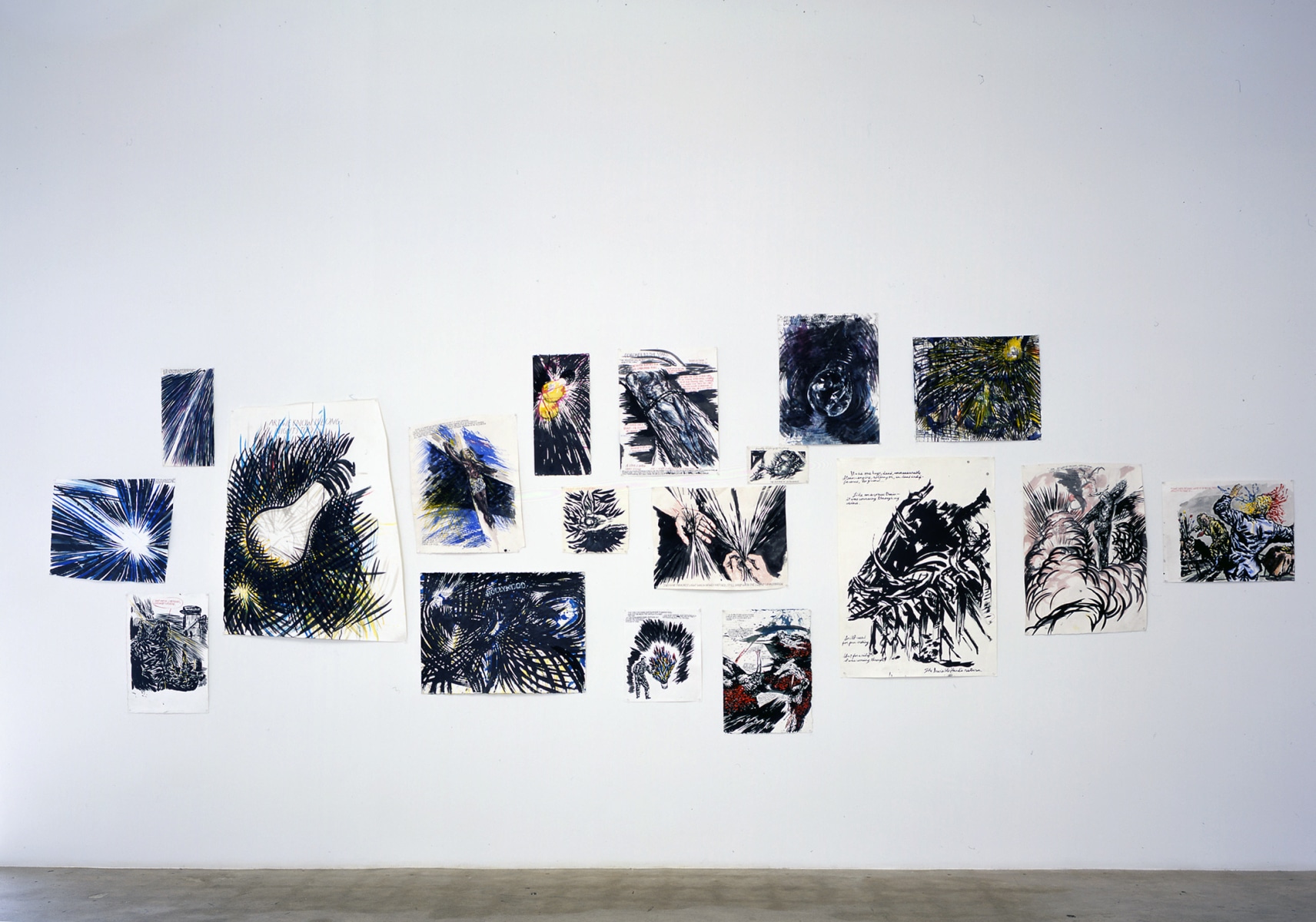 Raymond Pettibon