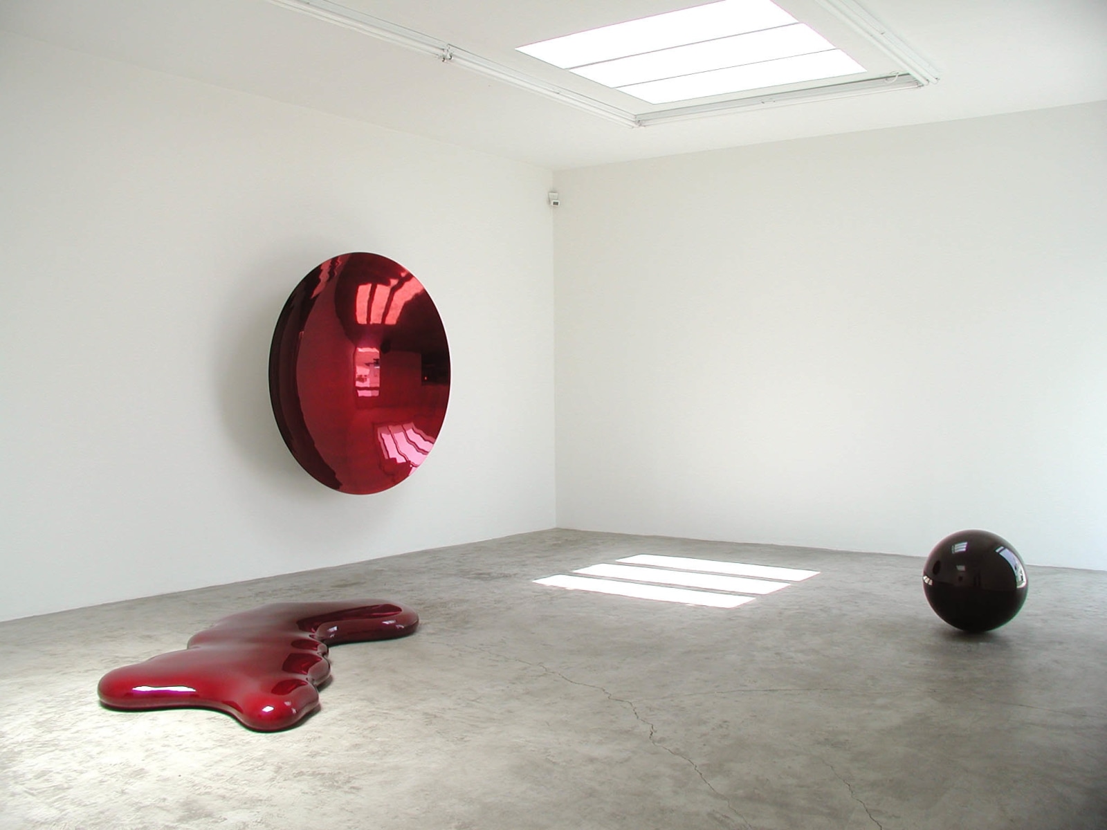 Anish Kapoor