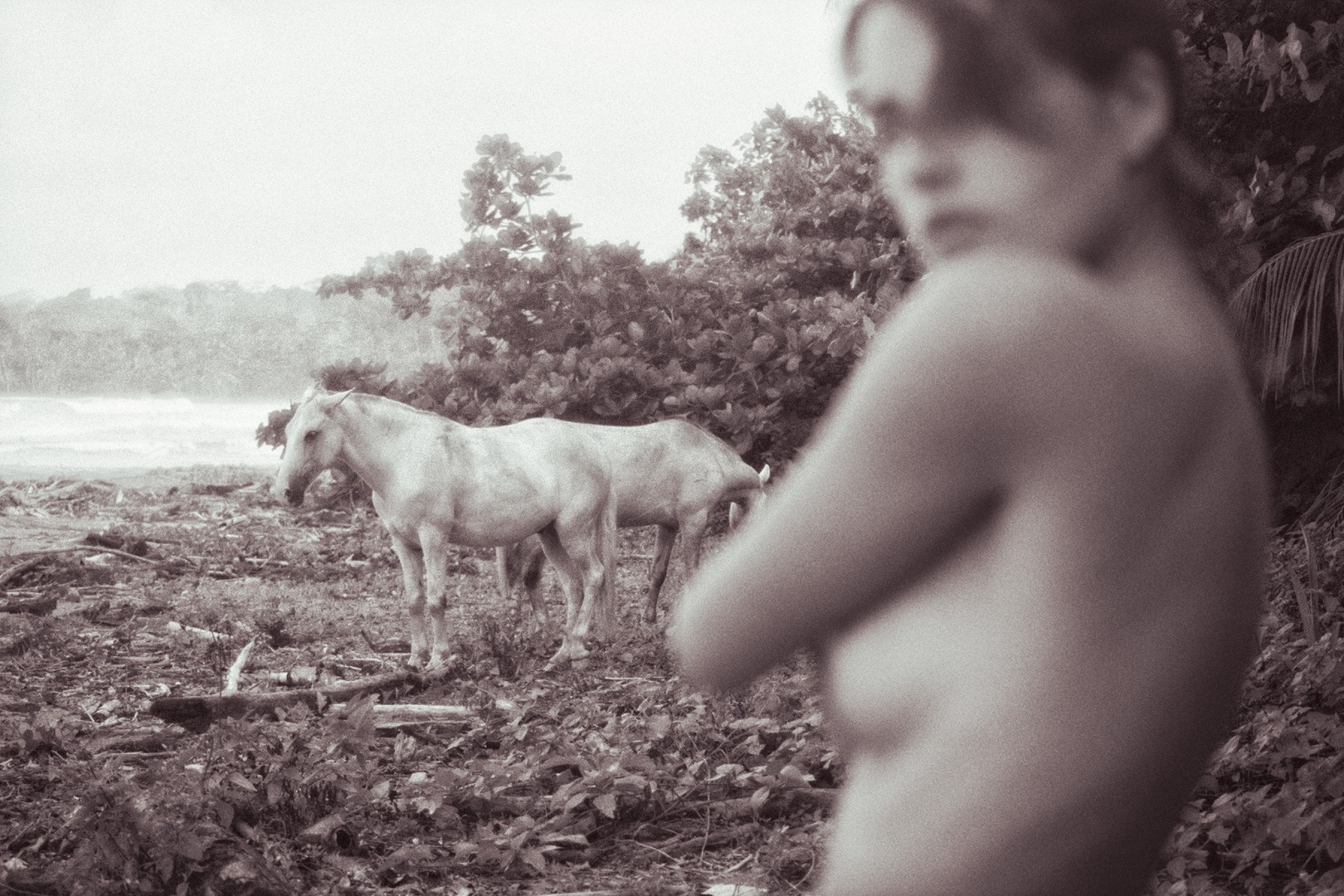 Amanda Charchian - Calm Sea