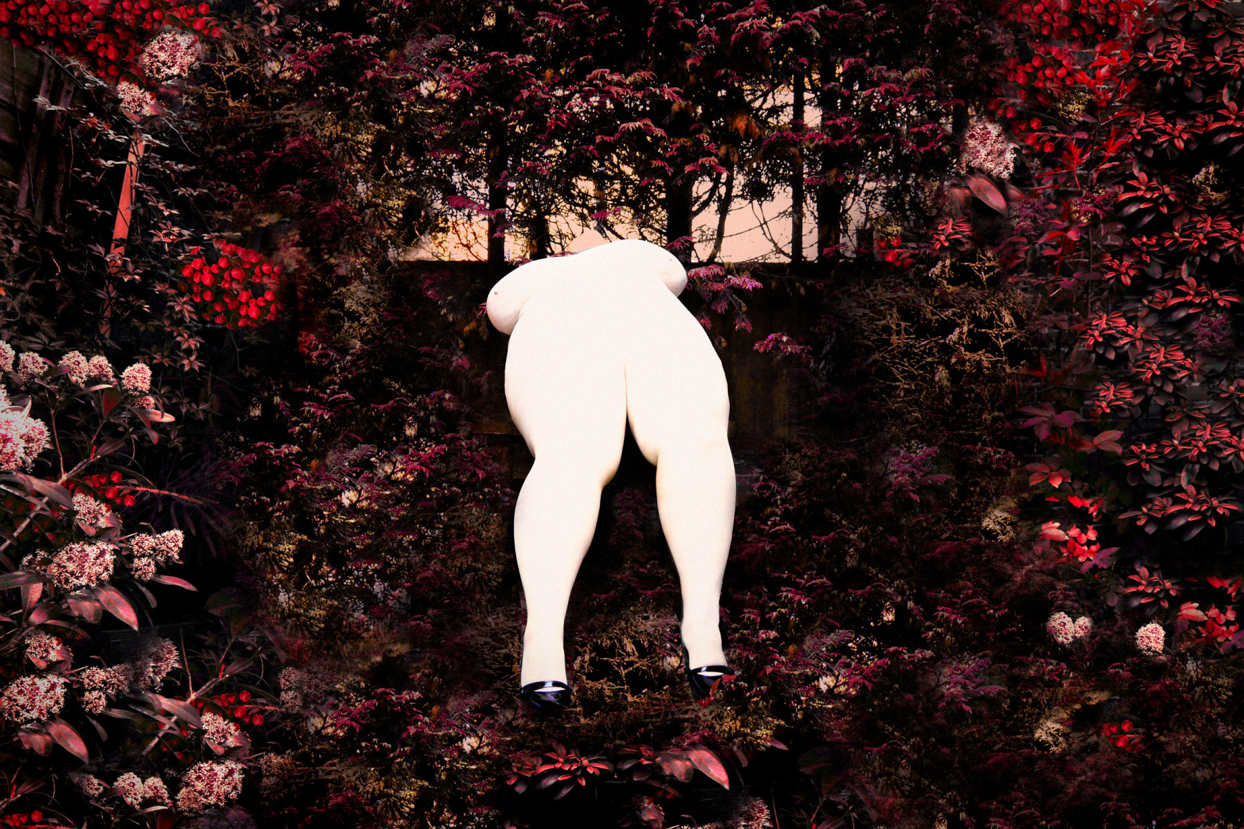 Paul Kooiker - Sunday