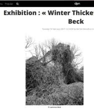 DPN WINTER THICKETS by LAWRENCE BECK