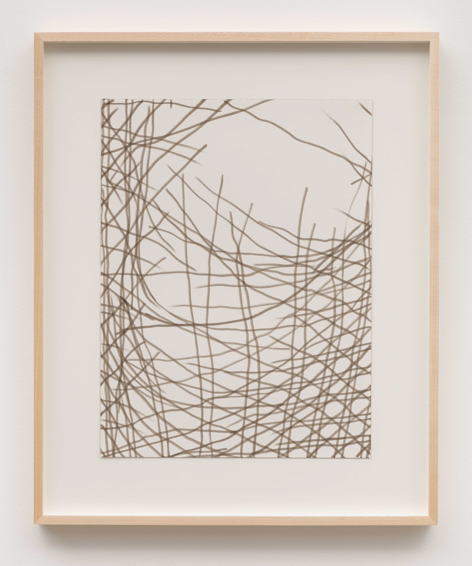 Palhinha XIII, 2016 Watercolor on paper