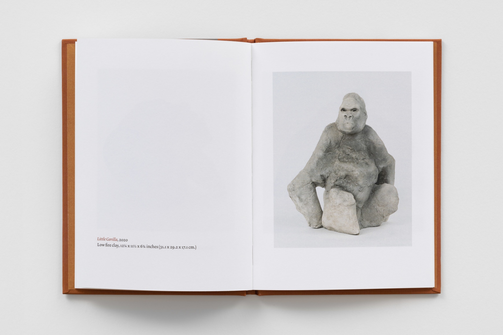 images of a catalogue