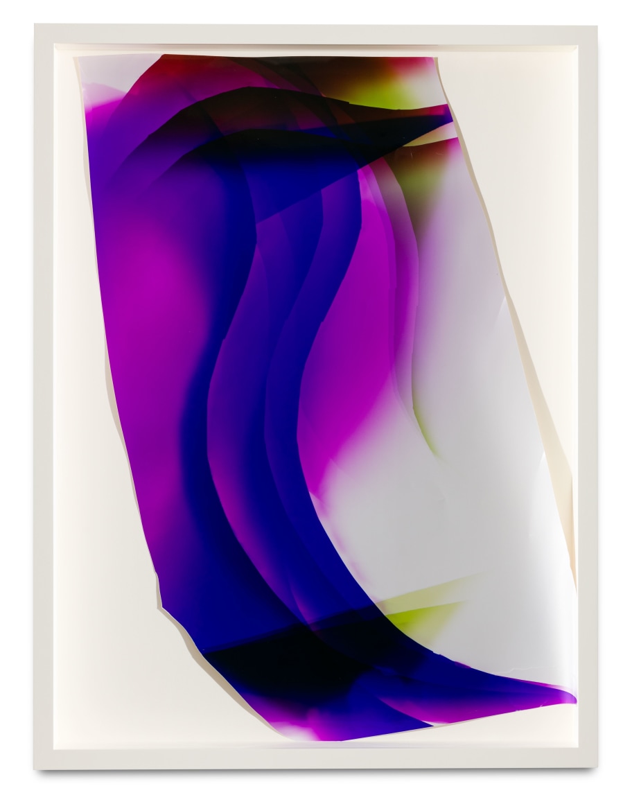 337, 2016 C-print 31.5 x 24 inches (80 x 61 cm)