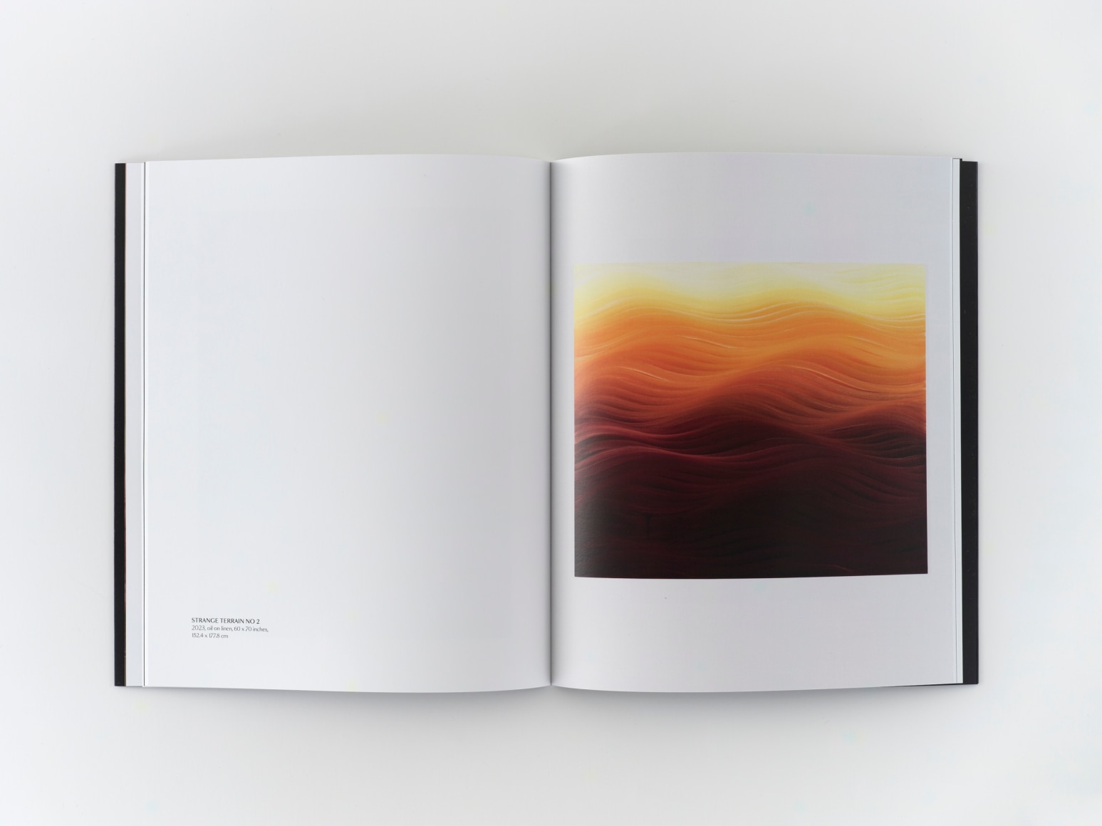 image of a softcover book interior