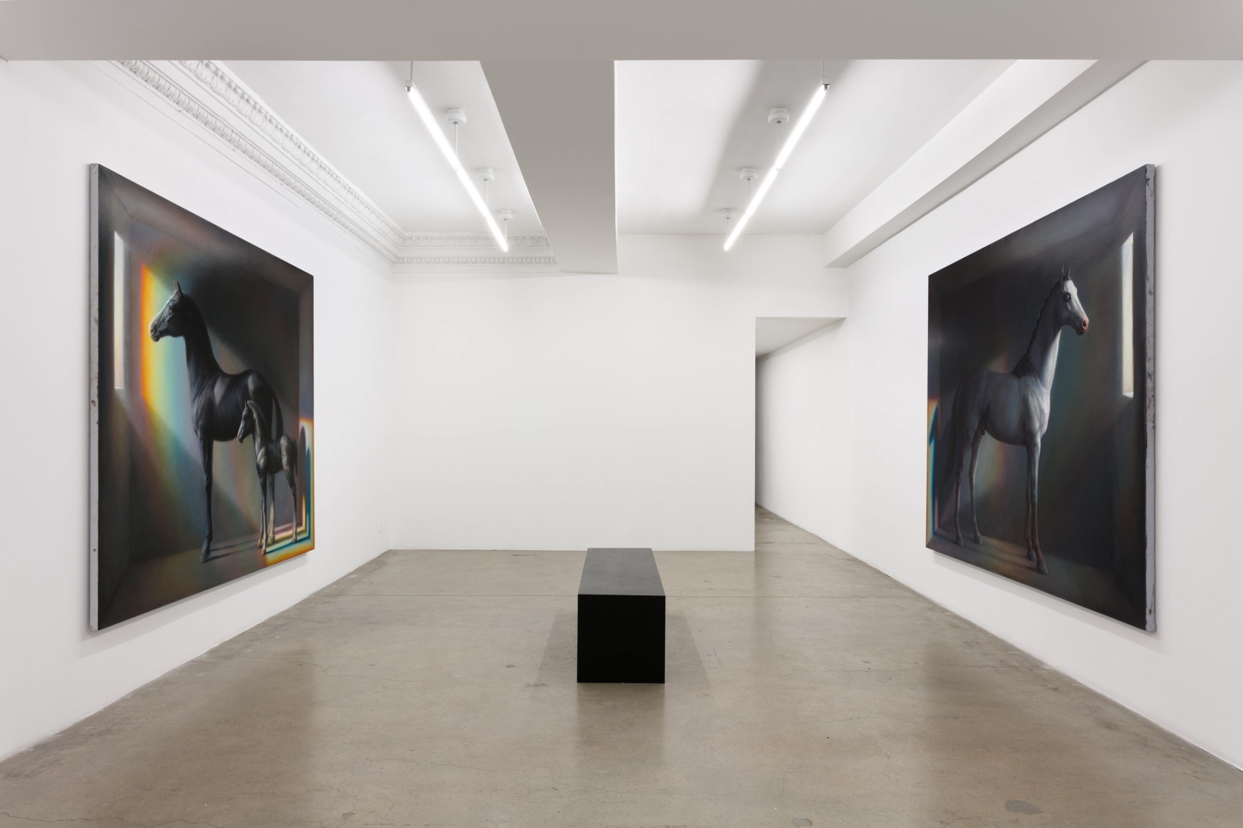 Gallery installation view