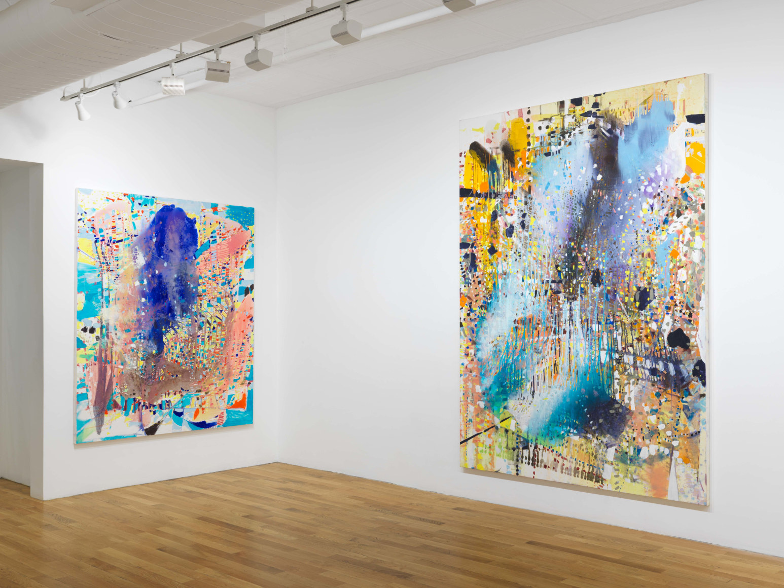 installation view of paintings and drawings by Jackie Saccoccio