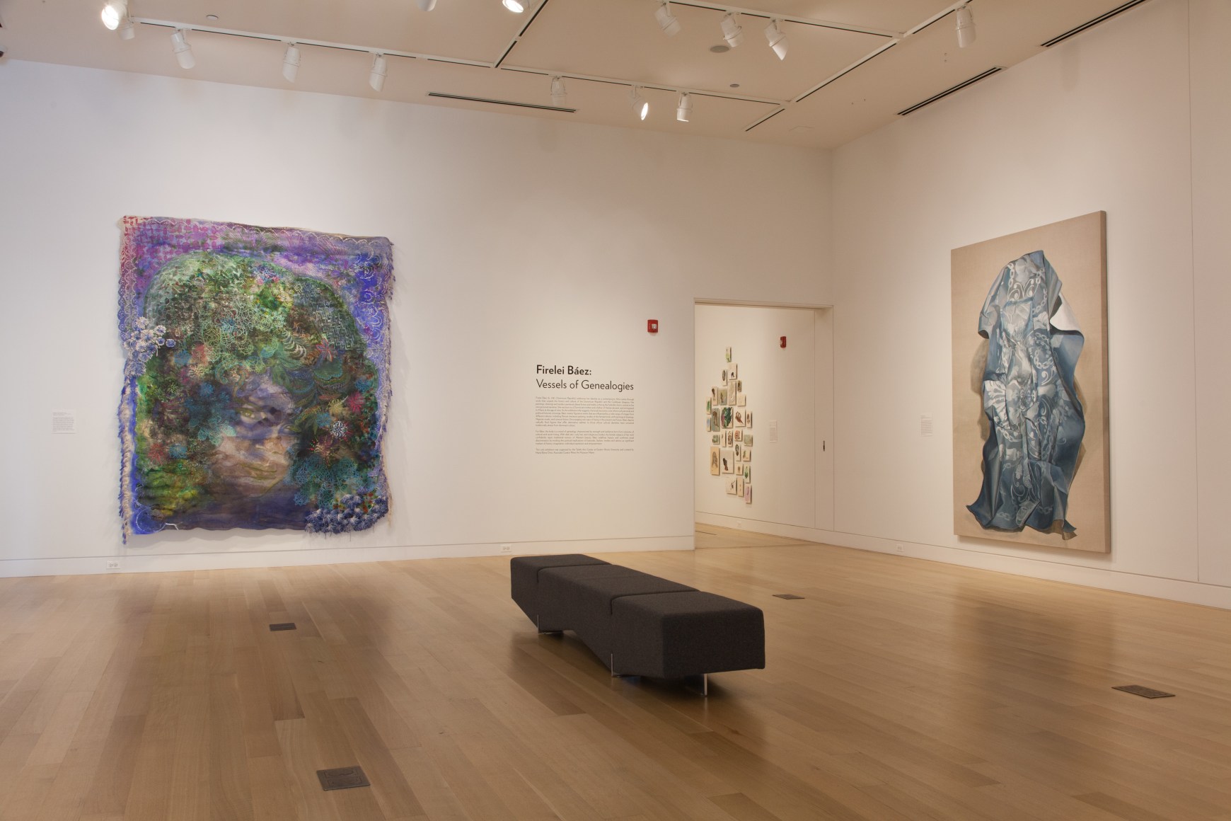 FIRELEI B&Aacute;EZ, Installation view: Vessels of Genealogies, DePaul Art Museum, April 27 &ndash; August 6, 2017