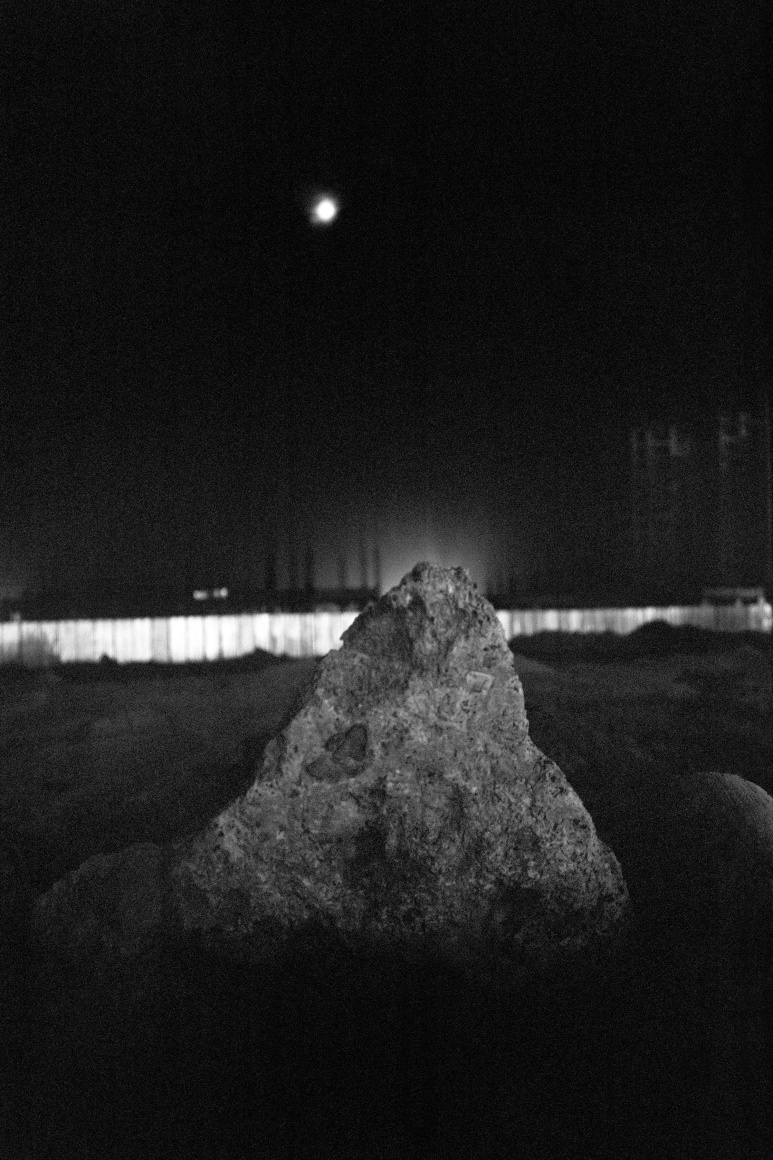 GAURI GILL, Kolkata 2009 (a), from Becoming