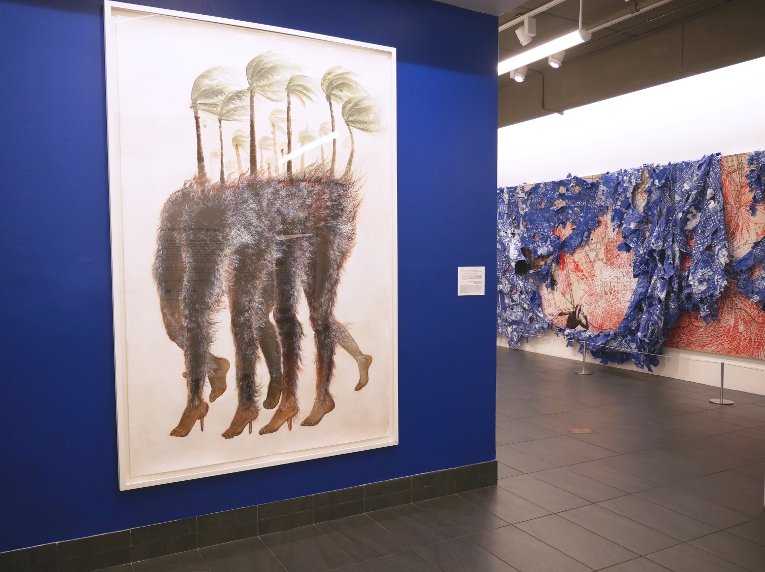 FIRELEI BÁEZ, Installation view: Immersion into Compounded Time and the Paintings of Firelei Báez, Mennello Museum of American Art, June 7 – September 1, 2019