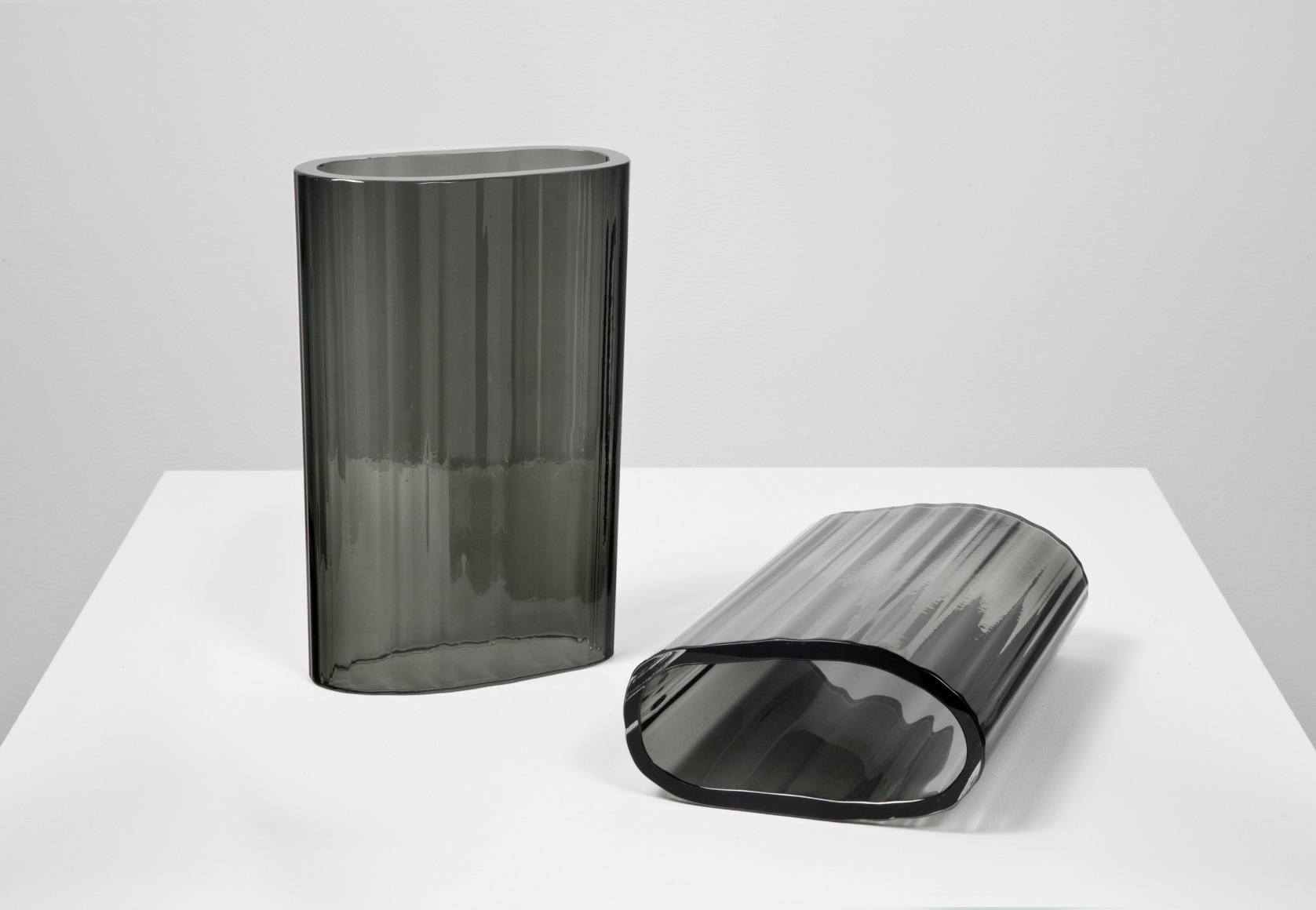 JOSIAH MCELHENY Two Grey Disks after a Prototype by Blinky Palermo