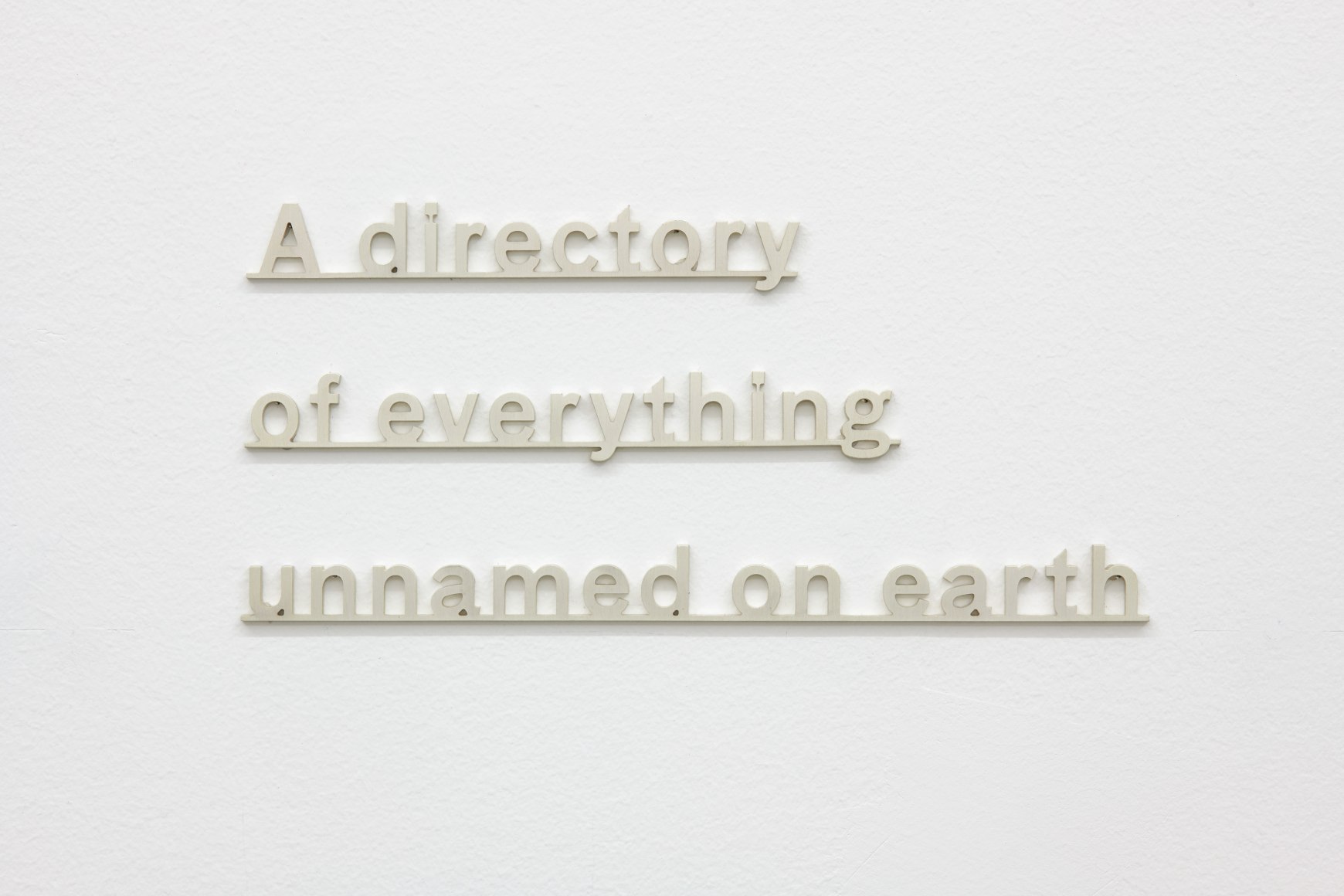 Silver letters on a wall that read: "a directory of everything unnamed on earth"