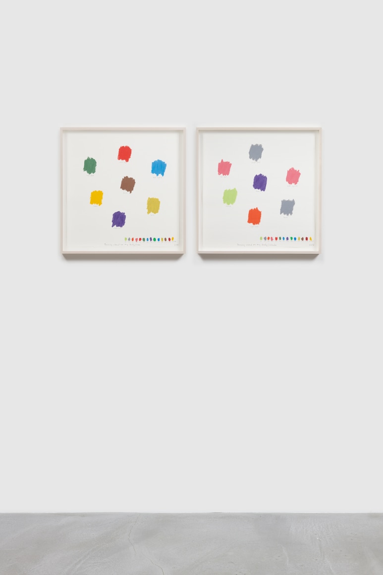 SPENCER FINCH&nbsp;, &ldquo;As Blind Men learn the sun&rdquo; (passing cloud)