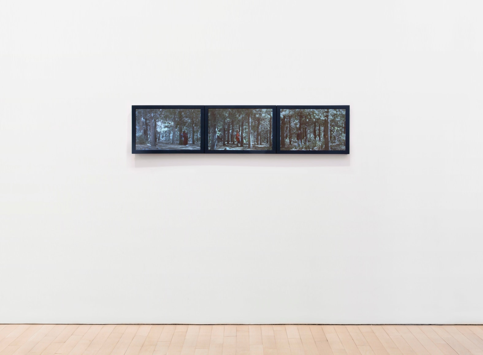 BILL VIOLA Study for the Path