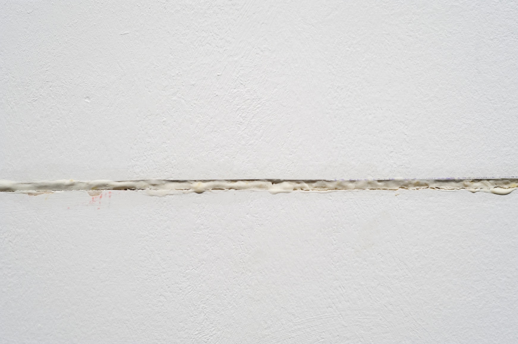 TERESA MARGOLLES, Herida