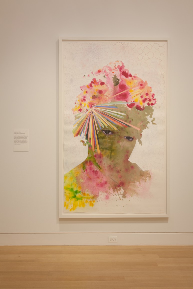 FIRELEI B&Aacute;EZ, Installation view:&nbsp;Vessels of Genealogies,&nbsp;DePaul Art Museum, April 27 &ndash; August 6, 2017