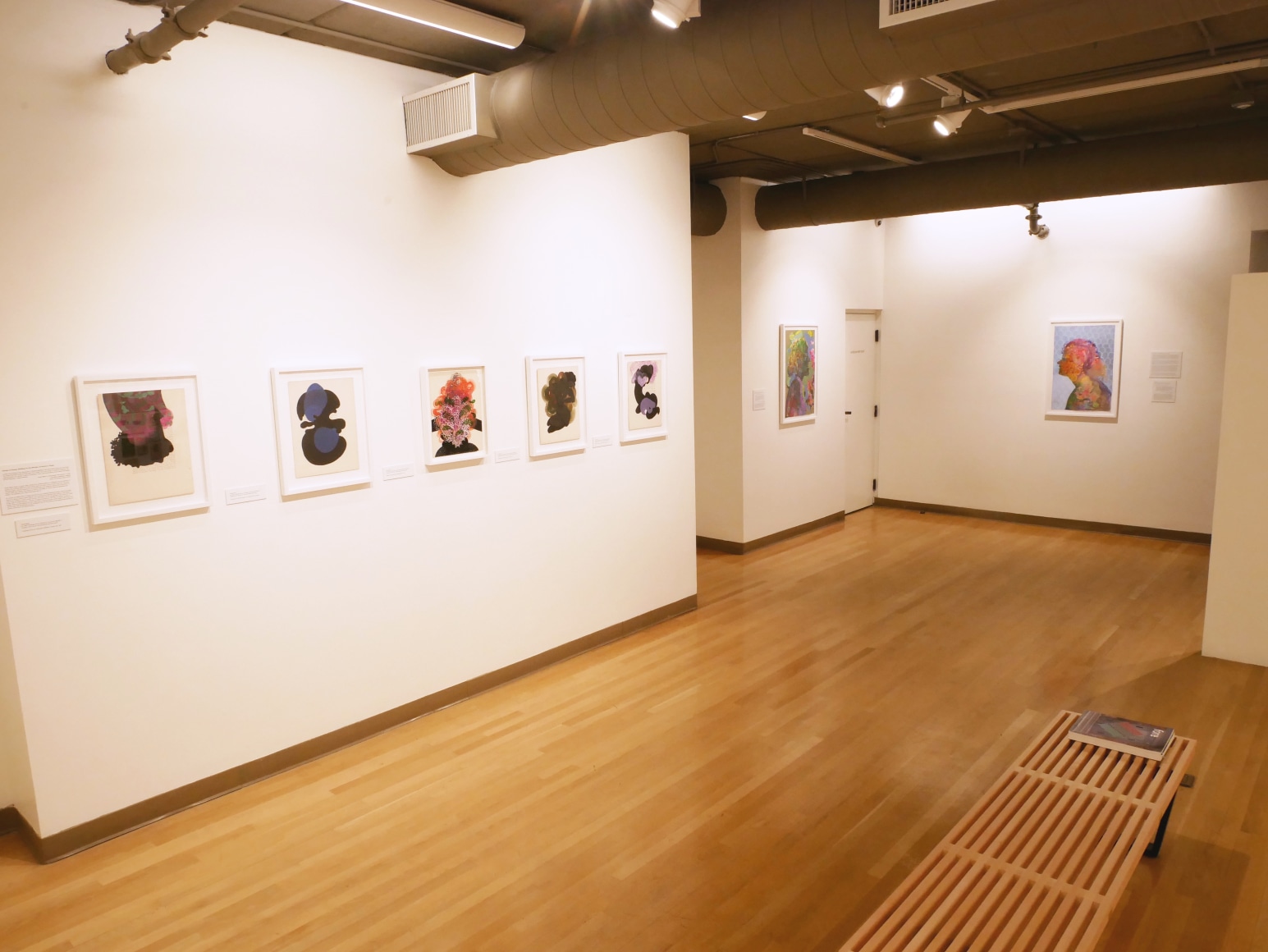 FIRELEI BÁEZ, Installation view: Immersion into Compounded Time and the Paintings of Firelei Báez, Mennello Museum of American Art, June 7 – September 1, 2019