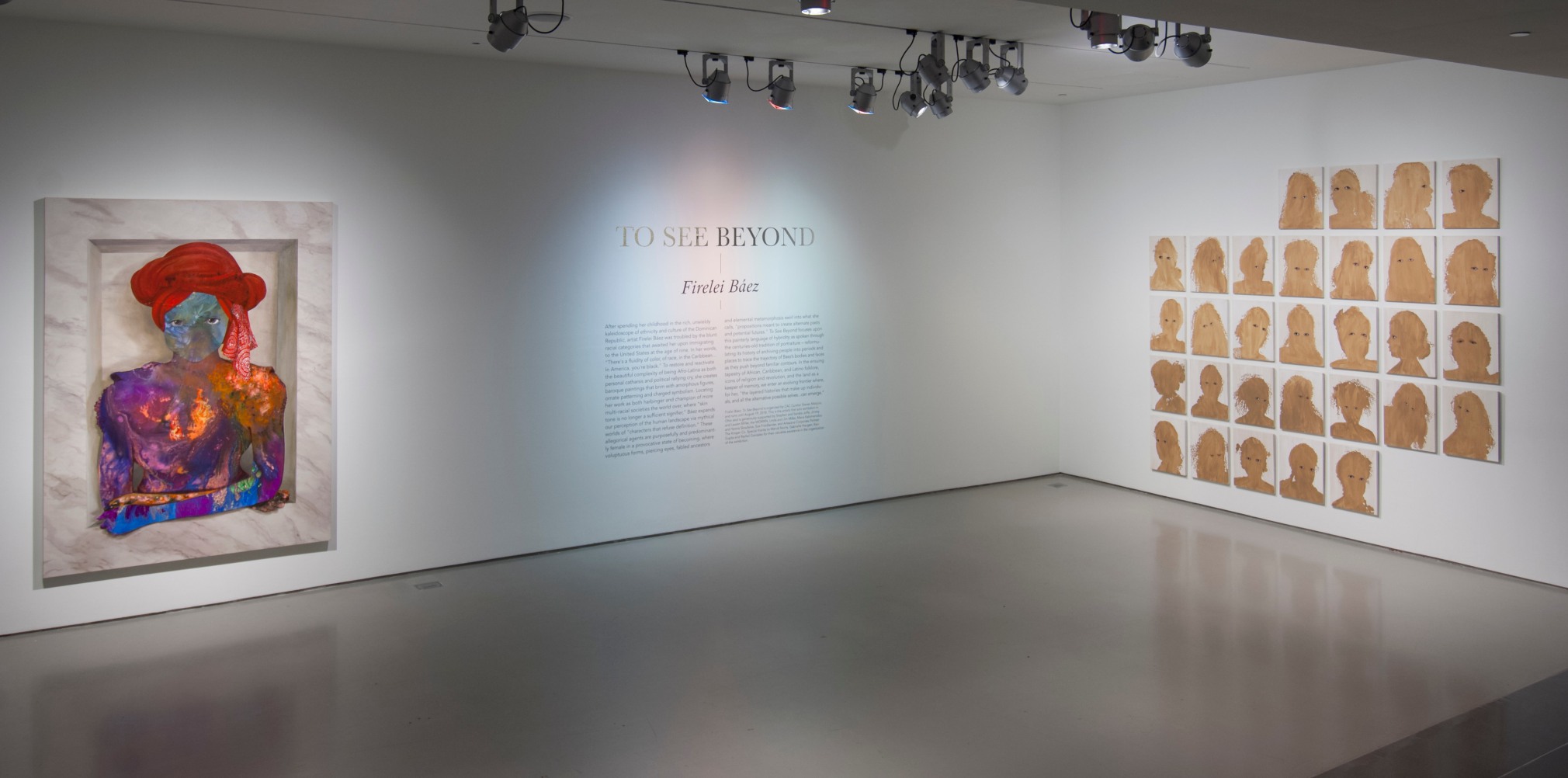 FIRELEI B&Aacute;EZ, Installation view:&nbsp;To See Beyond Its Walls (and access the places that lie beyond),&nbsp;Contemporary Arts Center Cincinnati, May 18 - August 19, 2018