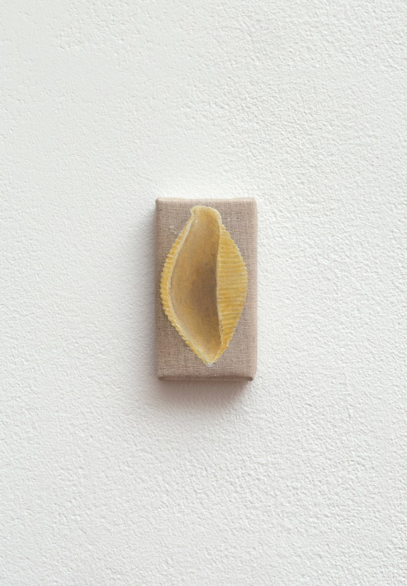 HELENE APPEL Shell Pasta, 2017
