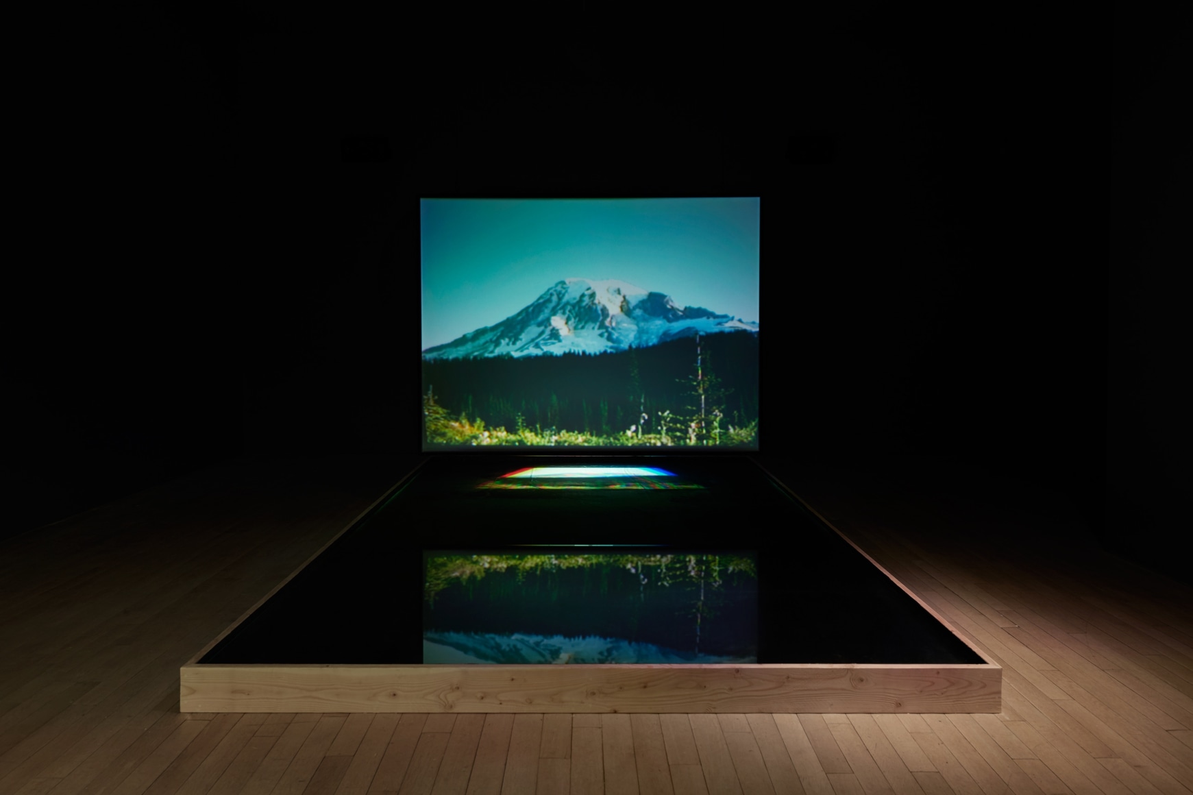 BILL VIOLA