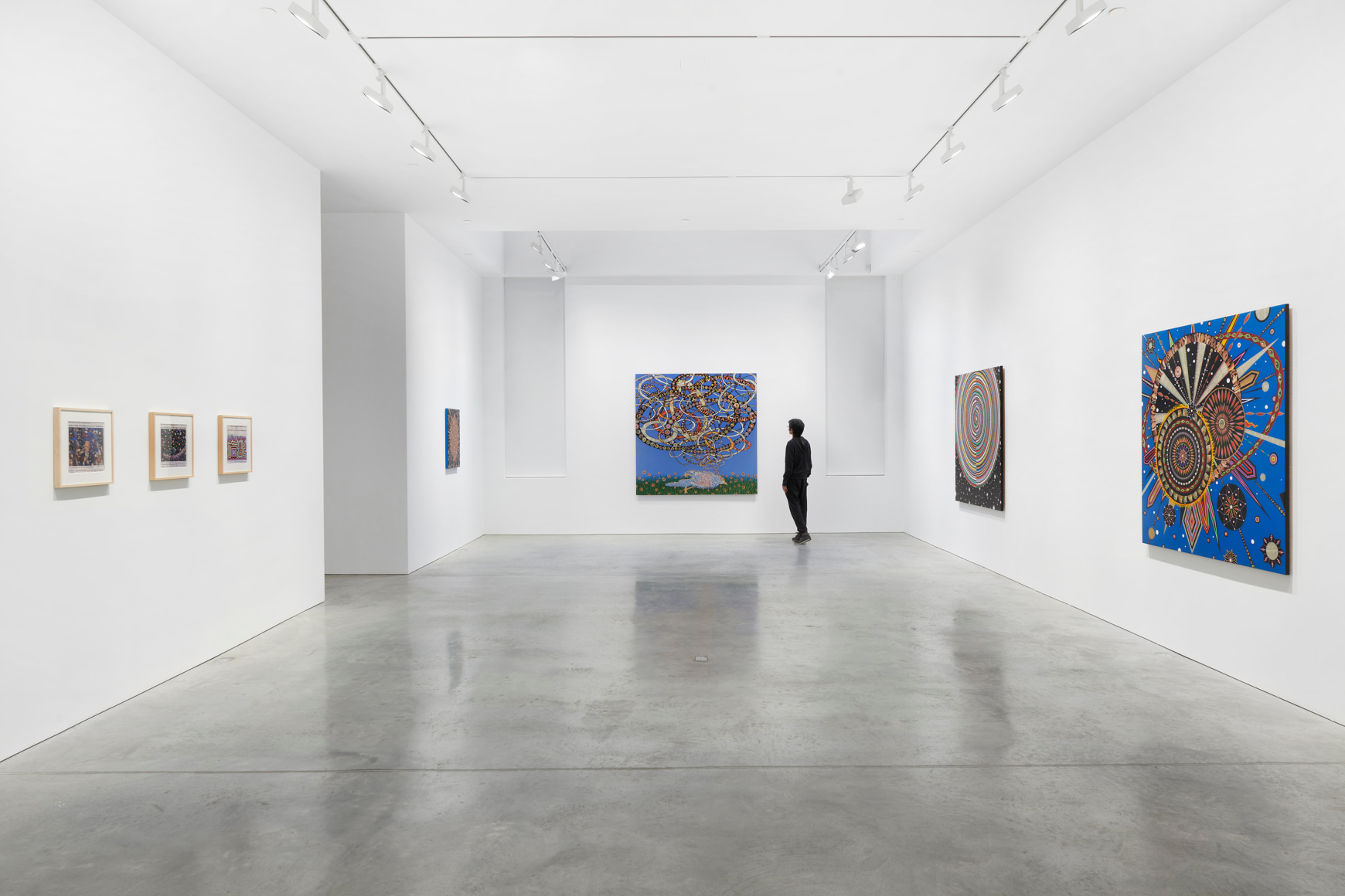 Installation view,&nbsp;Fred Tomaselli, 48 Walker St, October 23 - November 21, 2020