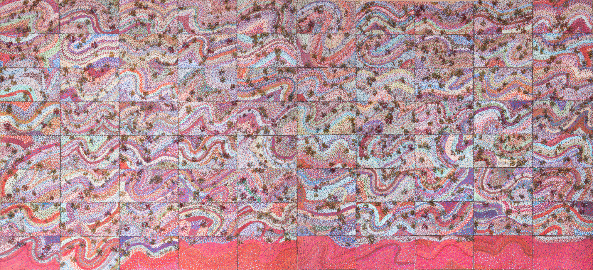 ELIAS SIME Tightrope: non-essential speed