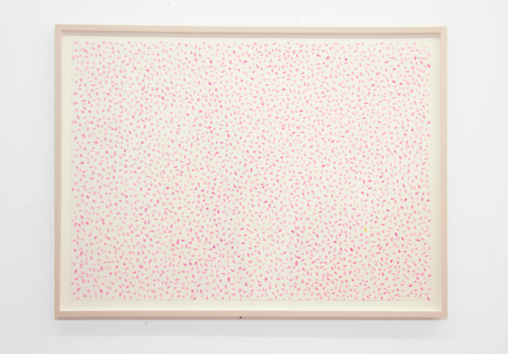 SPENCER FINCH, Prairie (clover, and a bee)