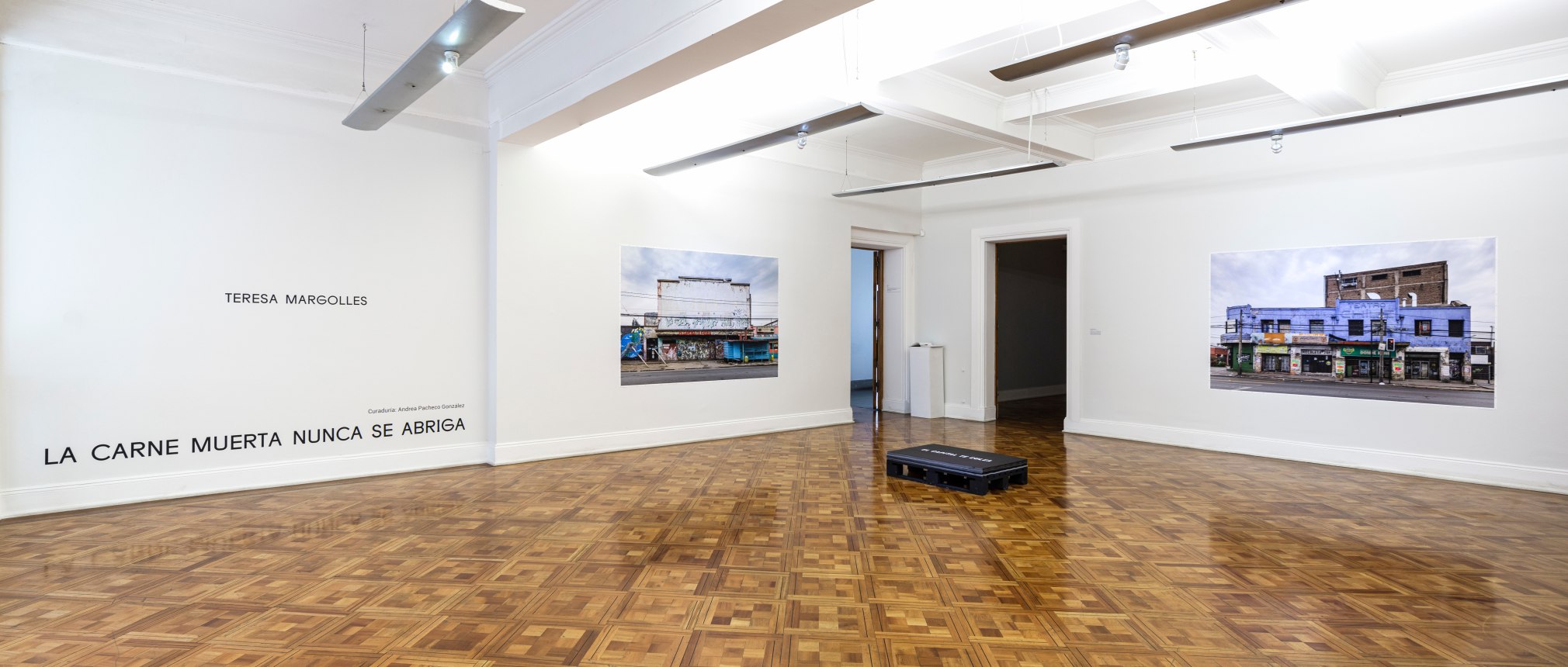 TERESA MARGOLLES, Installation view: La Carne Muerta Nunca Se Abriga, Museo de la Solidaridad Salvador Allende, Santiago de Chile, August 31, 2019 - February 2, 2020