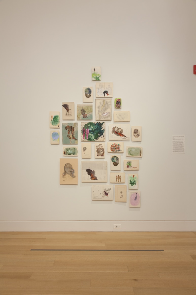 FIRELEI B&Aacute;EZ, Installation view:&nbsp;Vessels of Genealogies,&nbsp;DePaul Art Museum, April 27 &ndash; August 6, 2017