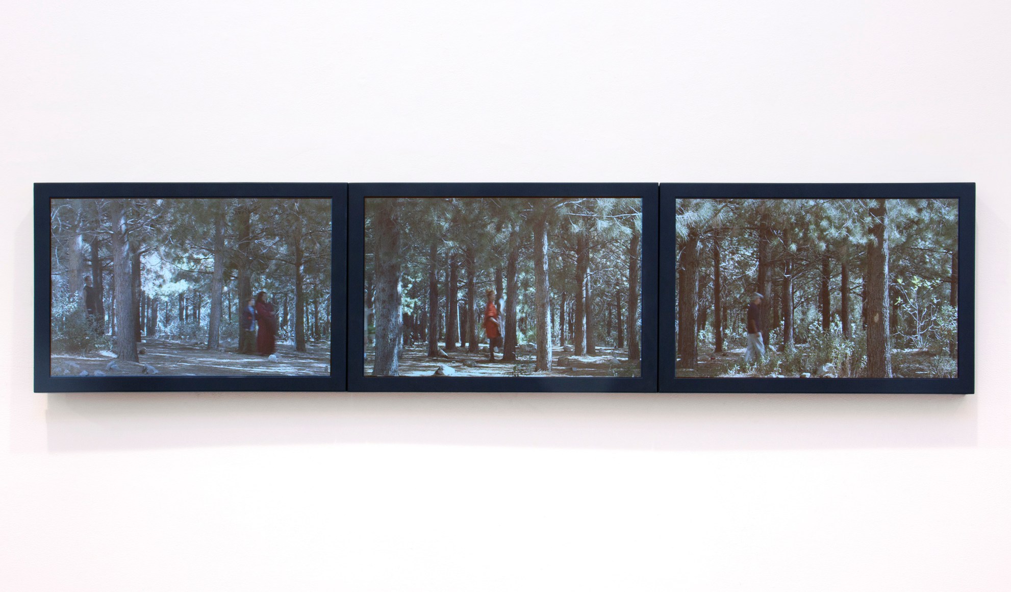 BILL VIOLA Study for the Path